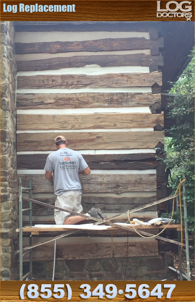 Log_Replacement