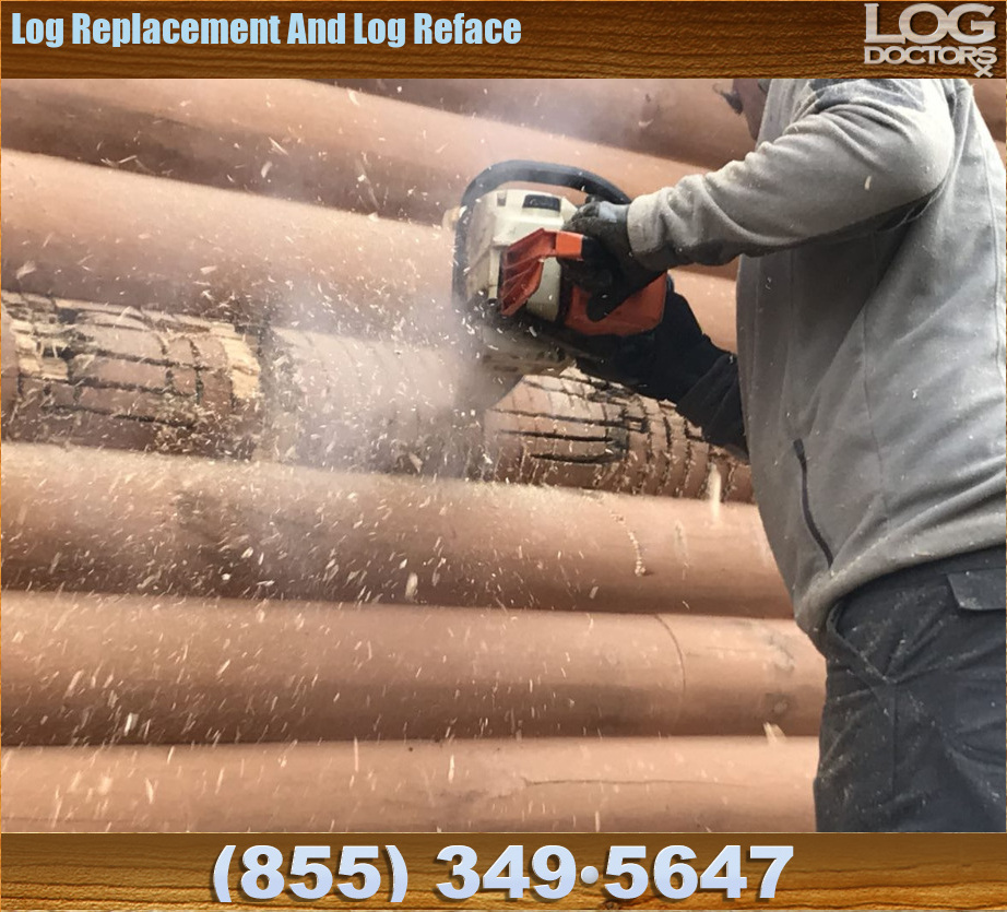 Log_Replacement