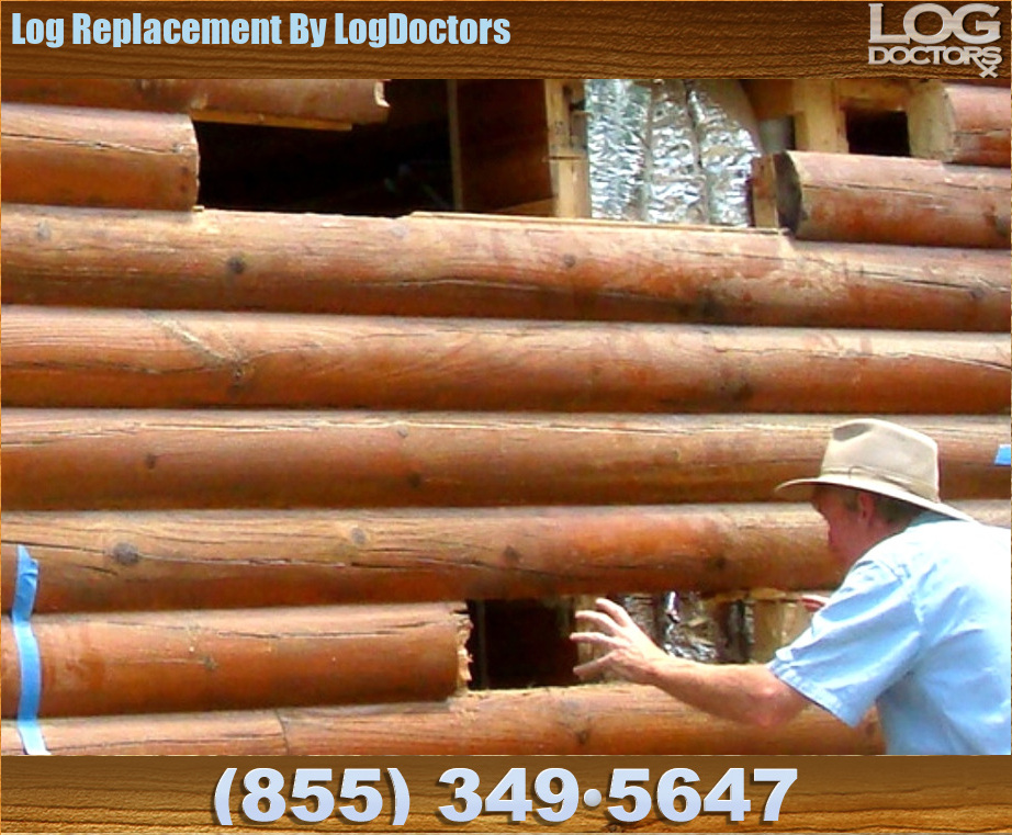 Log_Replacement
