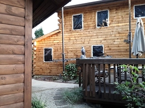 Log Cabin Maintenance By LogDoctors