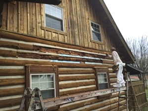 Log Refacing By LogDoctors