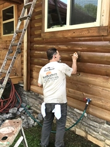 Log Cabin Staining