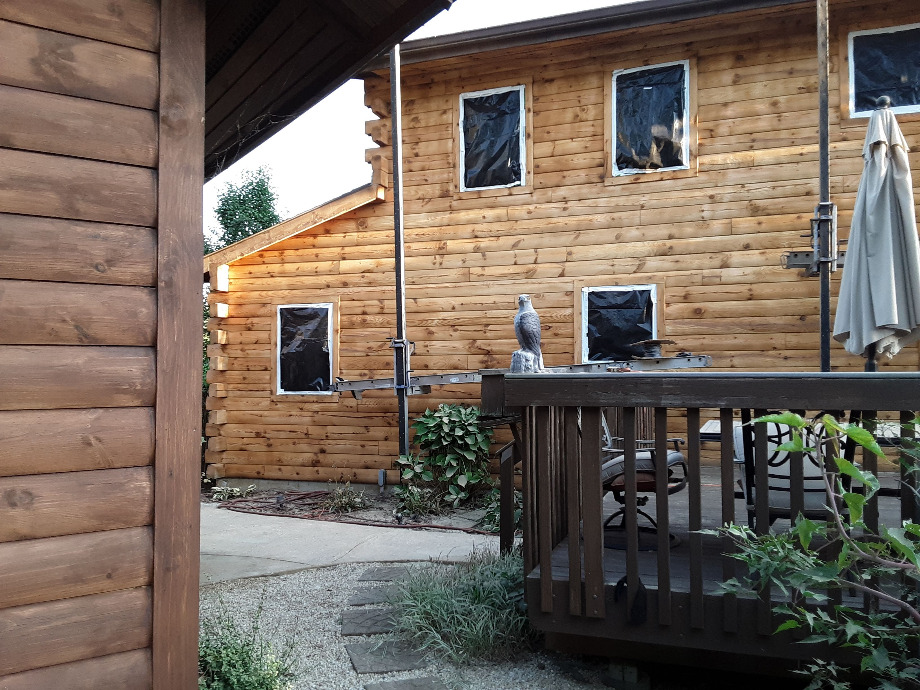 Log Cabin Maintenance By LogDoctors